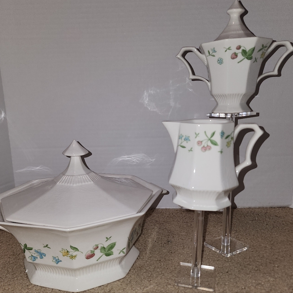 Elegant Vintage Floral Porcelain Dining Set